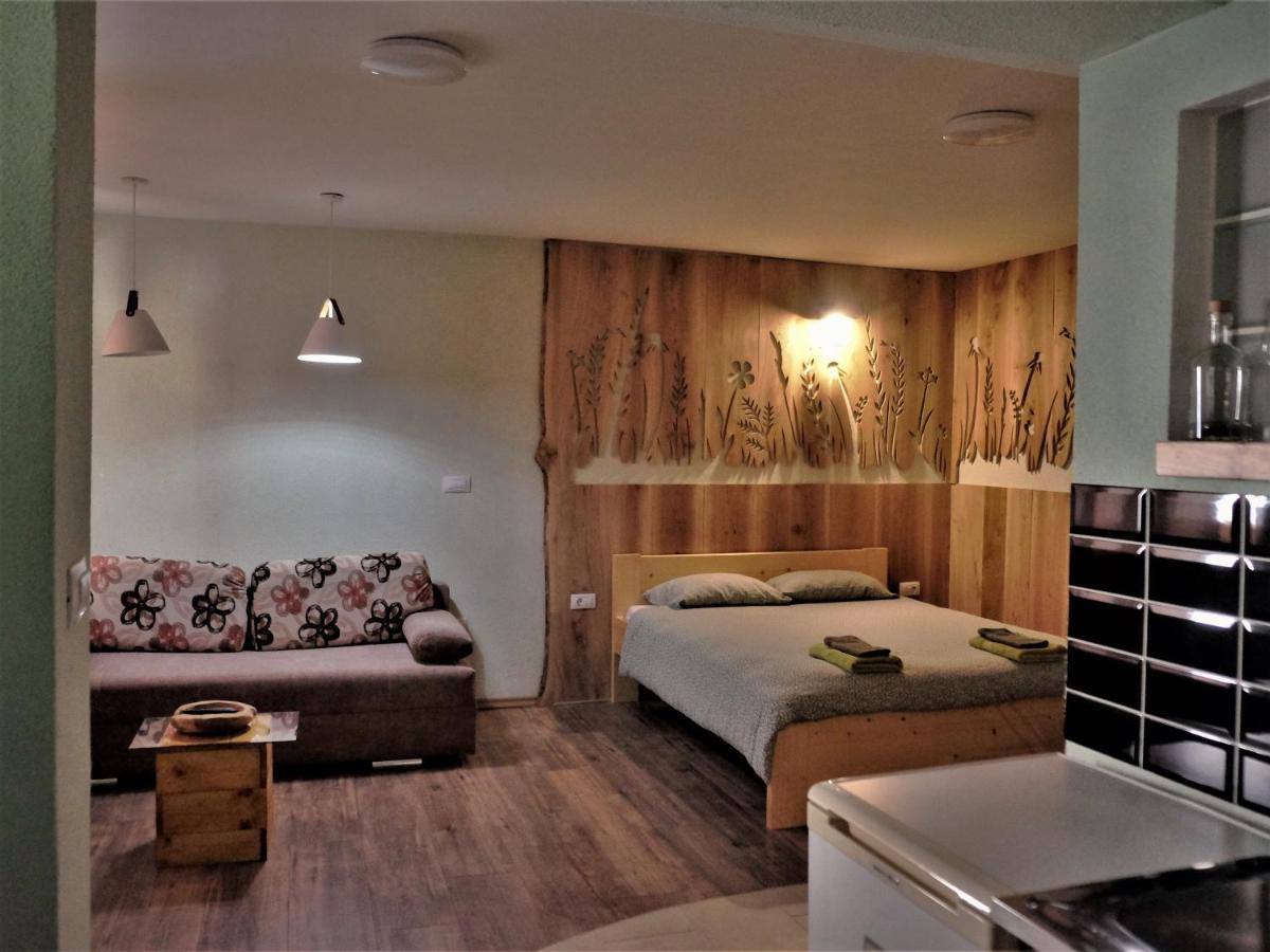 Old Square House - Hisa Na Starem Trgu Apartment Толмин Екстериор снимка